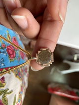 Shibani S. review photo