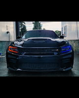 Scat review photo