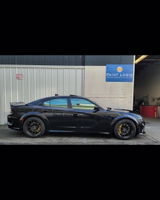 Scat review photo