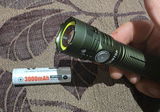 Ramin review photo
