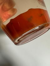 Jade review photo
