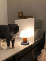 Lily review photo