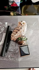 Adrien R. review photo