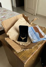 Vibha Kakar review photo
