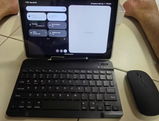 Kelvin review photo