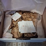 Bea review photo