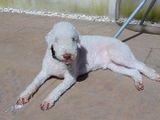 Marie W. review photo
