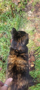 Tilly H. review photo