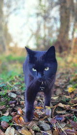 Tilly H. review photo