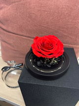 Heart Edition Dome