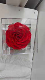 Giant Rose Acrylic Display