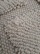 Ramona review photo