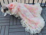 Aliana review photo