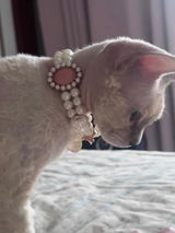 Mia Isabella review photo