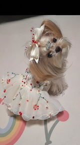 Bella M. review photo