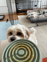 ま. review photo