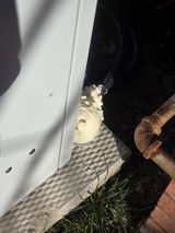 Anonymous review photo