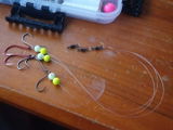 Siaosi F. review photo