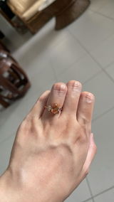 Ho Yang review photo