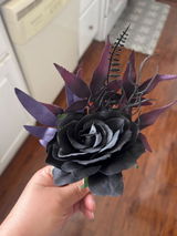 Aracely E review photo