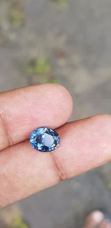 Sachi review photo
