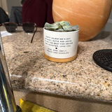 Linda Hansen review photo