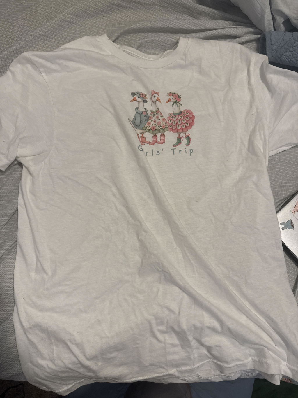Silly Goose Girls Trip Softstyle T-Shirt size XS to 5XL