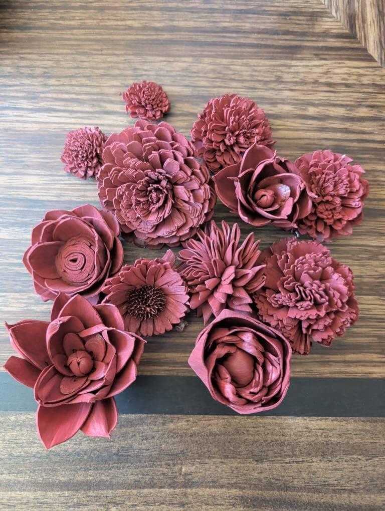 Burgundy Dyed Sola Wood Flowers | Pack of 12 | Luv Sola – Luv Sola