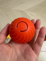 Vivian review photo