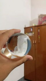 Jasmine review photo