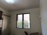 Ivy review photo