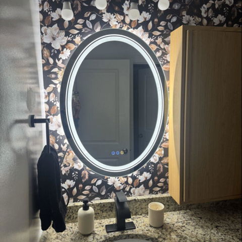 LUVODI Oval LED Bathroom Mirror Backlit + Front Lighted, Defogging