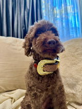 Myfurrloves review photo