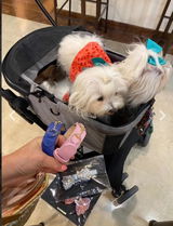 Malteze Life review photo