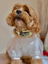 Shirley review photo