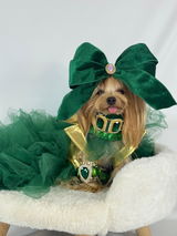 @maiachanelyorkiemodel review photo
