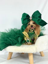 @maiachanelyorkiemodel review photo