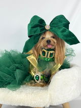 @maiachanelyorkiemodel review photo