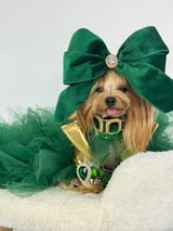 @maiachanelyorkiemodel review photo