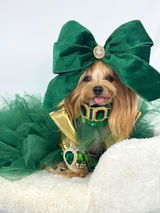 @maiachanelyorkiemodel review photo