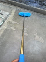 bulbul review photo