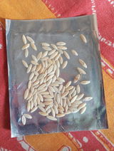 Nimesh review photo