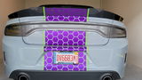 Kenyon S. review photo