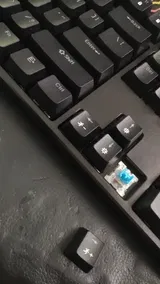 Y***b review photo