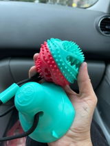 A***a review photo