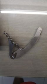 S***r review photo