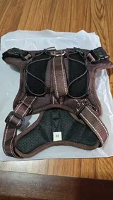 V***n review photo