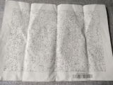 S***g review photo