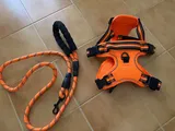 J***w review photo