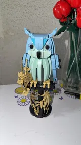 J***v review photo